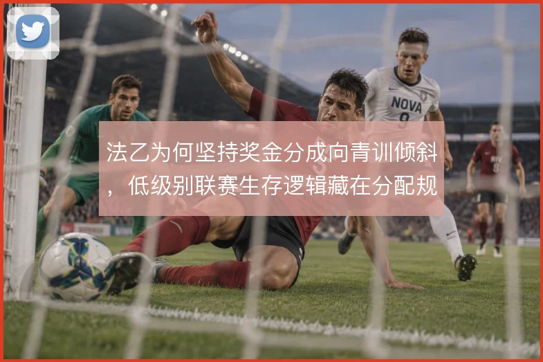 法乙为何坚持奖金分成向青训倾斜，低级别联赛生存逻辑藏在分配规则里