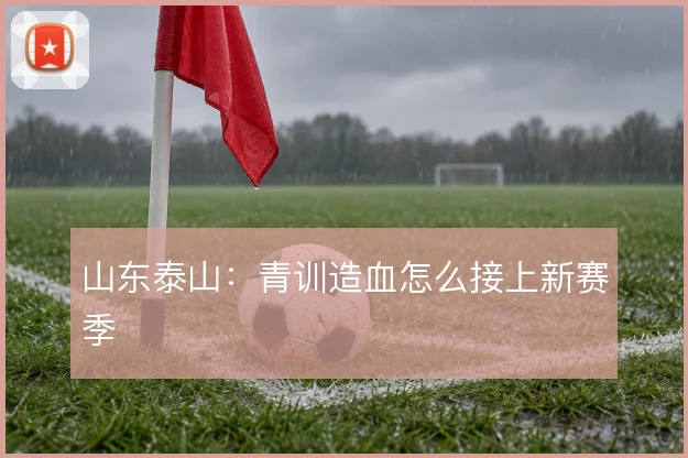 山东泰山:青训造血怎么接上新赛季
