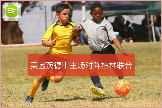 美因茨德甲主场对阵柏林联合