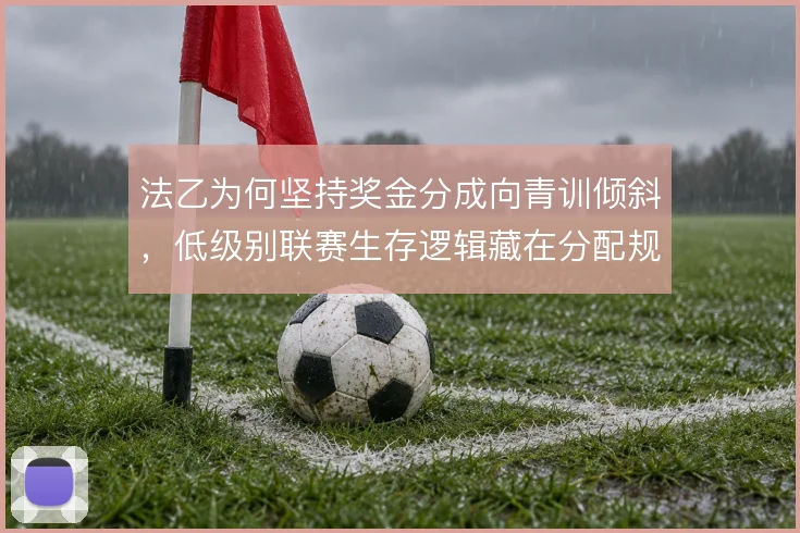 法乙为何坚持奖金分成向青训倾斜，低级别联赛生存逻辑藏在分配规则里
