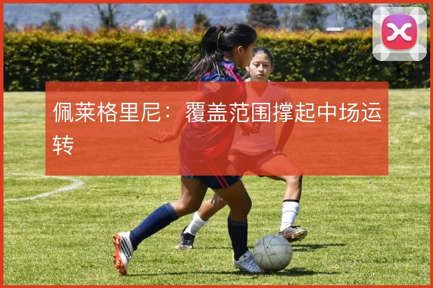 佩莱格里尼:覆盖范围撑起中场运转