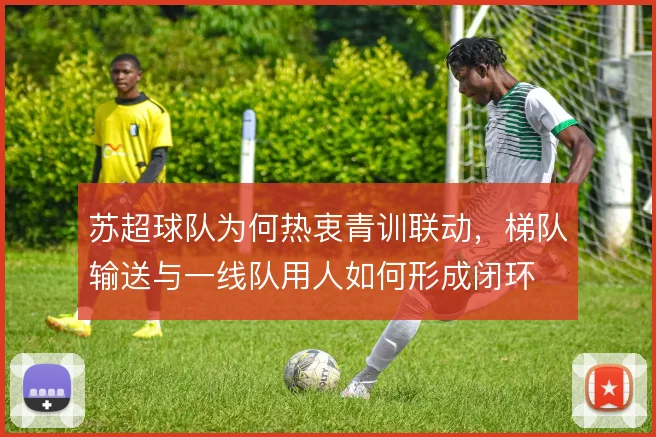 苏超球队为何热衷青训联动，梯队输送与一线队用人如何形成闭环